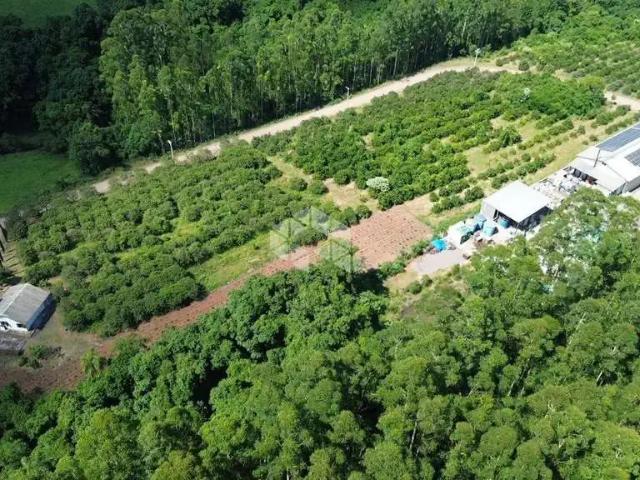 Sítio e chácara venda em Região Geográfica Imediata de Novo Hamburgo - São Leopoldo, São José do Hortencio