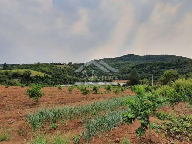 Sítio e chácara venda em Região Geográfica Imediata de Novo Hamburgo - São Leopoldo, São José do Hortencio