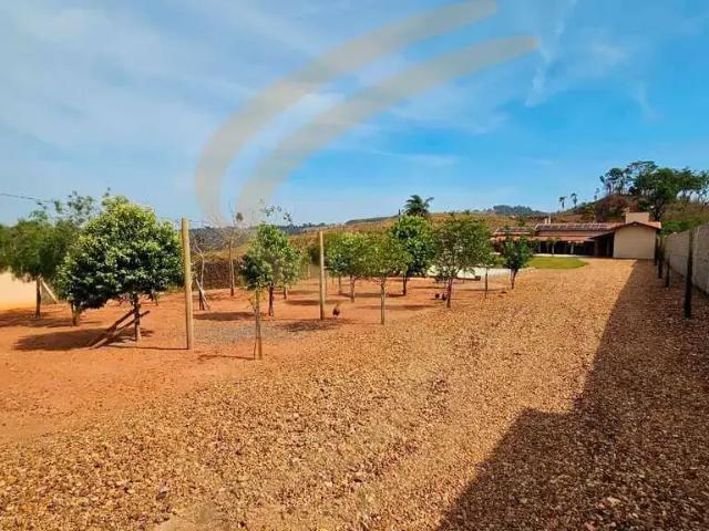Sítio e chácara venda em Região Imediata de São José do Rio Pardo-Mococa, São José do Rio Pardo