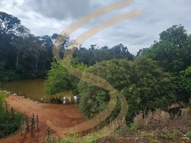 Sítio e chácara venda em Região Imediata de São José do Rio Pardo-Mococa, São José do Rio Pardo