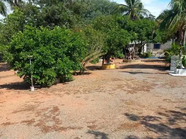 Sítio e chácara venda em Região Imediata de São José do Rio Pardo-Mococa, São José do Rio Pardo