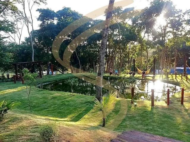 Sítio e chácara venda em Região Imediata de São José do Rio Pardo-Mococa, São José do Rio Pardo