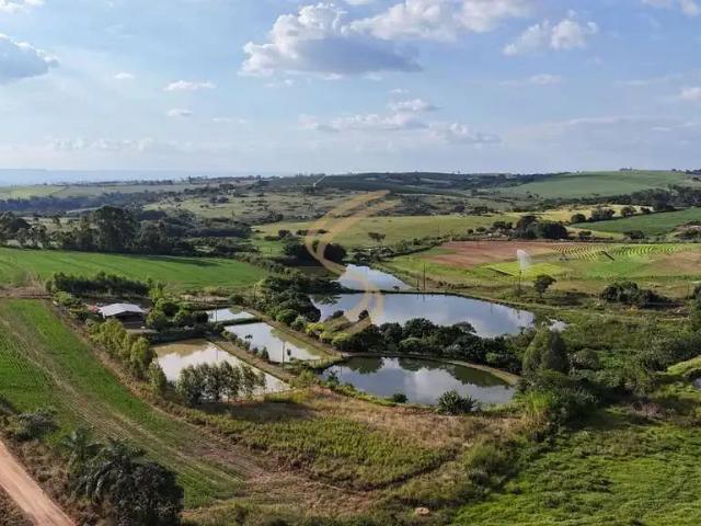 Sítio e chácara venda em Região Imediata de São José do Rio Pardo-Mococa, São José do Rio Pardo
