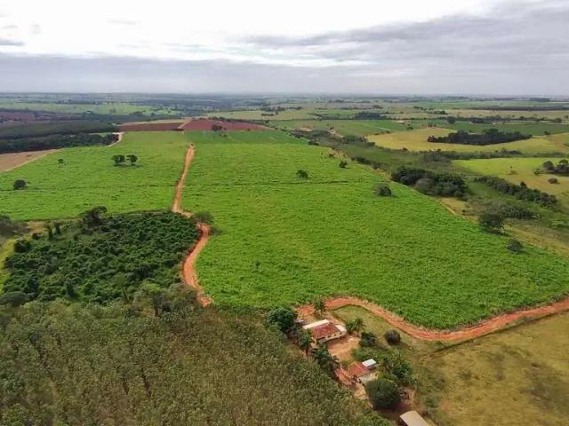 Sítio e chácara venda em Região Imediata de São José do Rio Preto, Região Metropolitana de São José do Rio Preto