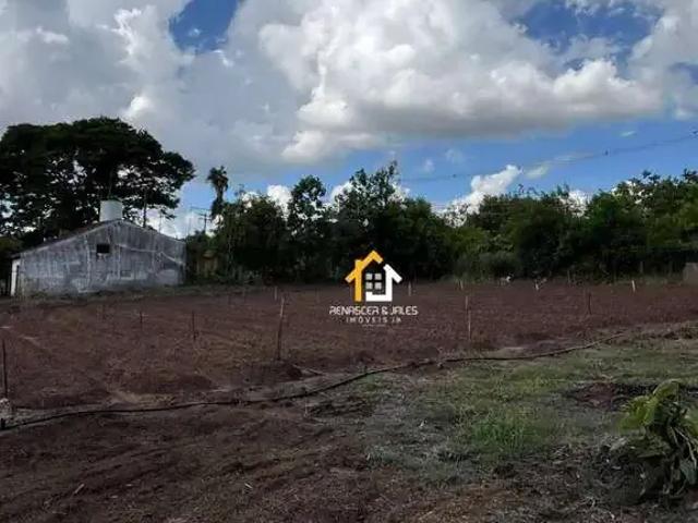 Sítio e chácara venda em Região Imediata de São José do Rio Preto, Região Metropolitana de São José do Rio Preto