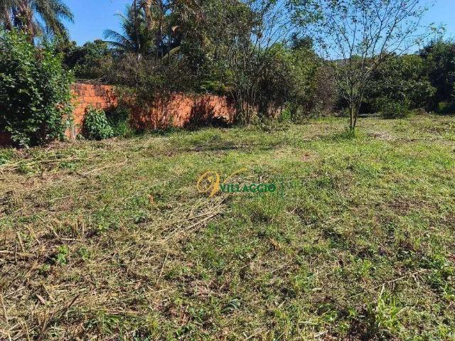 Sítio e chácara venda em Região Imediata de São José do Rio Preto, Região Metropolitana de São José do Rio Preto