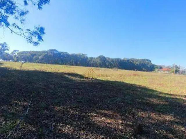 Sítio e chácara venda em Região Imediata de São José do Rio Preto, Região Metropolitana de São José do Rio Preto