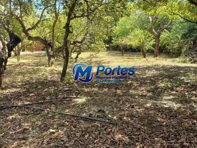 Sítio e chácara venda em São José do Rio Preto, Região Geográfica Intermediária de São José do Rio Preto