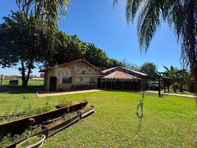 Sítio e chácara venda em Região Imediata de São José do Rio Preto, Região Metropolitana de São José do Rio Preto
