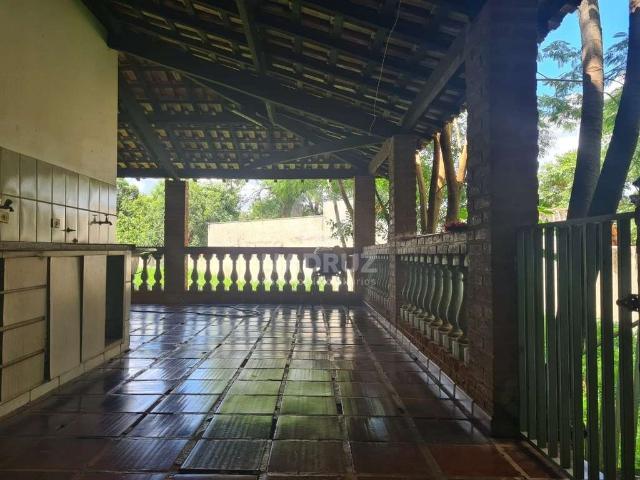 Sítio e chácara venda em Região Imediata de São José do Rio Preto, Região Metropolitana de São José do Rio Preto