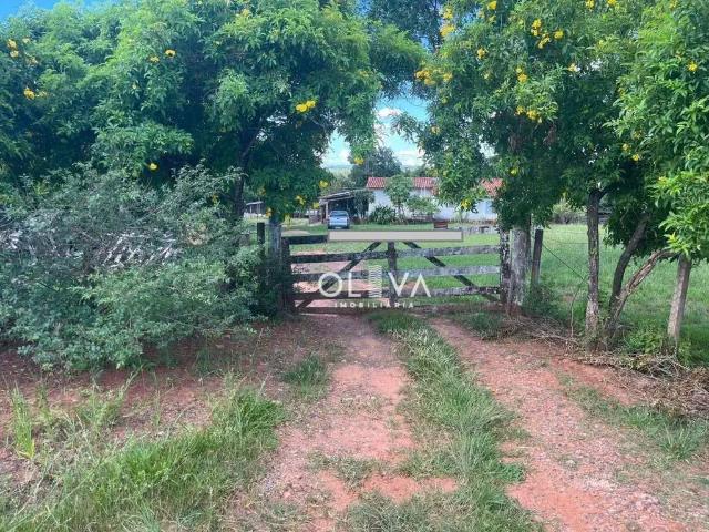 Sítio e chácara venda em Região Imediata de São José do Rio Preto, Região Metropolitana de São José do Rio Preto