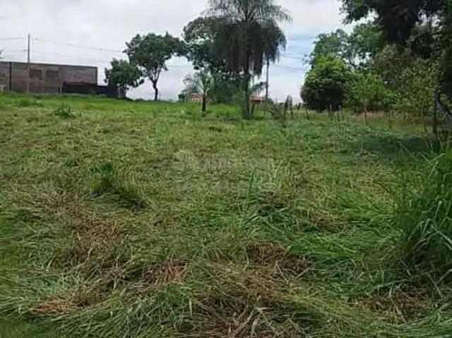 Sítio e chácara venda em Região Imediata de São José do Rio Preto, Região Metropolitana de São José do Rio Preto