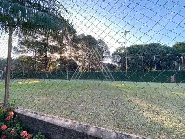 Sítio e chácara venda em Região Imediata de São José do Rio Preto, Região Metropolitana de São José do Rio Preto