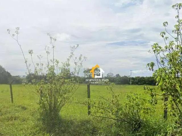 Sítio e chácara venda em Região Imediata de São José do Rio Preto, Região Metropolitana de São José do Rio Preto