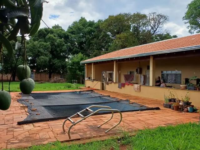 Sítio e chácara venda em São José do Rio Preto, Região Geográfica Intermediária de São José do Rio Preto