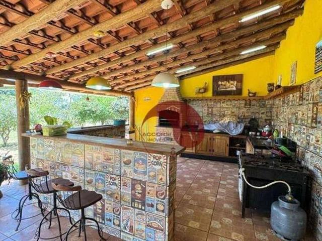 Sítio e chácara venda em São José do Rio Preto