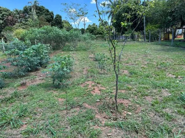 Sítio e chácara venda em São José do Rio Preto, Região Geográfica Intermediária de São José do Rio Preto