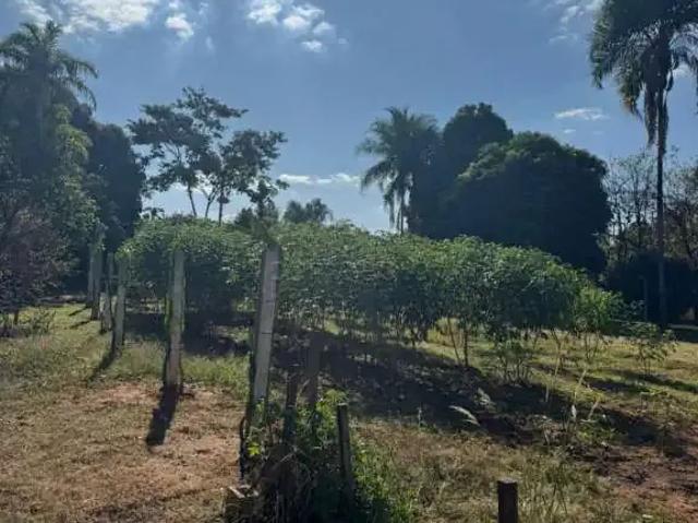 Sítio e chácara venda em Região Imediata de São José do Rio Preto, Região Metropolitana de São José do Rio Preto