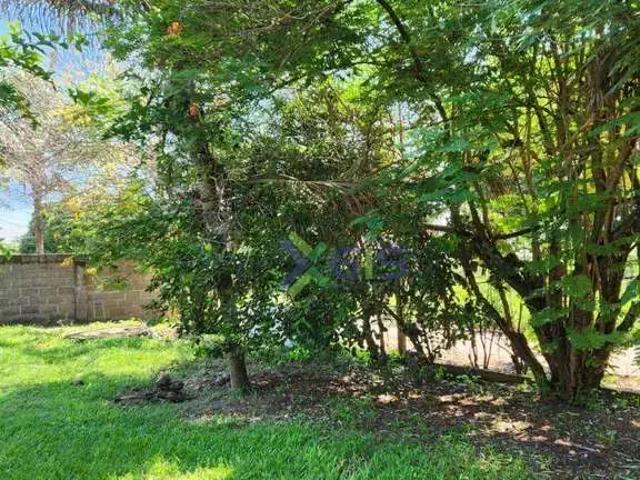 Sítio e chácara venda em Região Imediata de São José do Rio Preto, Região Metropolitana de São José do Rio Preto