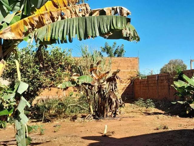 Sítio e chácara venda em Região Imediata de São José do Rio Preto, Região Metropolitana de São José do Rio Preto