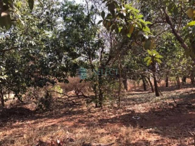 Sítio e chácara venda em Região Imediata de São José do Rio Preto, Região Metropolitana de São José do Rio Preto