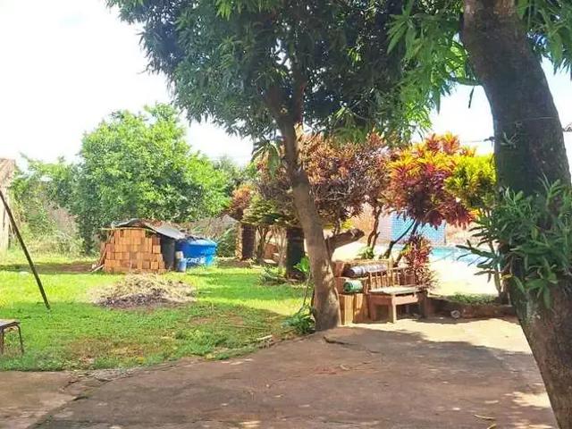 Sítio e chácara venda em Região Imediata de São José do Rio Preto, Região Metropolitana de São José do Rio Preto