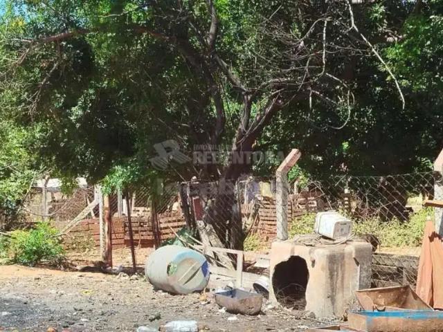 Sítio e chácara venda em Região Imediata de São José do Rio Preto, Região Metropolitana de São José do Rio Preto