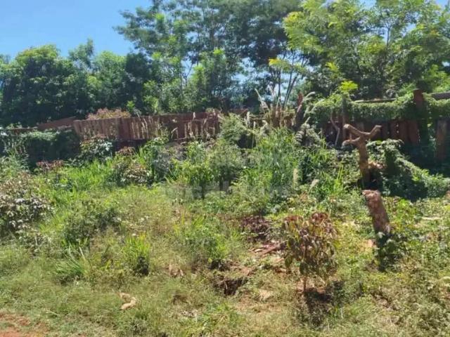 Sítio e chácara venda em Região Imediata de São José do Rio Preto, Região Metropolitana de São José do Rio Preto