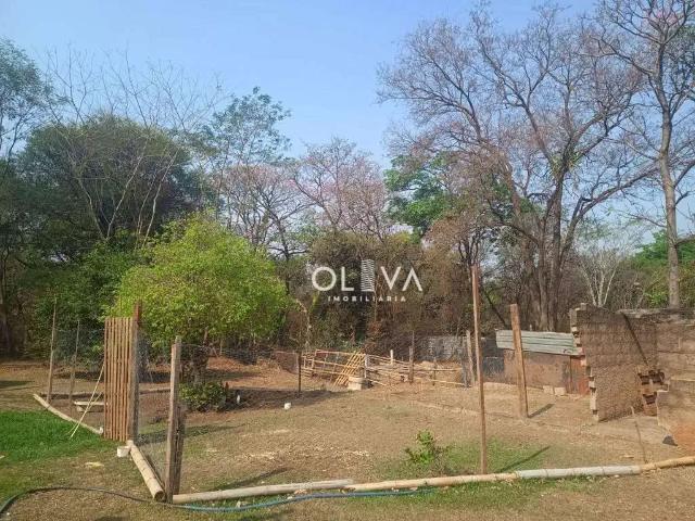 Sítio e chácara venda em Região Imediata de São José do Rio Preto, Região Metropolitana de São José do Rio Preto