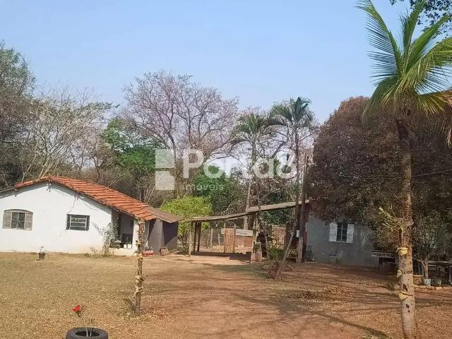 Sítio e chácara venda em Região Imediata de São José do Rio Preto, Região Metropolitana de São José do Rio Preto