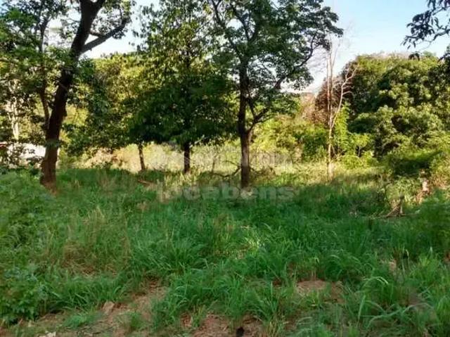 Sítio e chácara venda em Região Imediata de São José do Rio Preto, Região Metropolitana de São José do Rio Preto