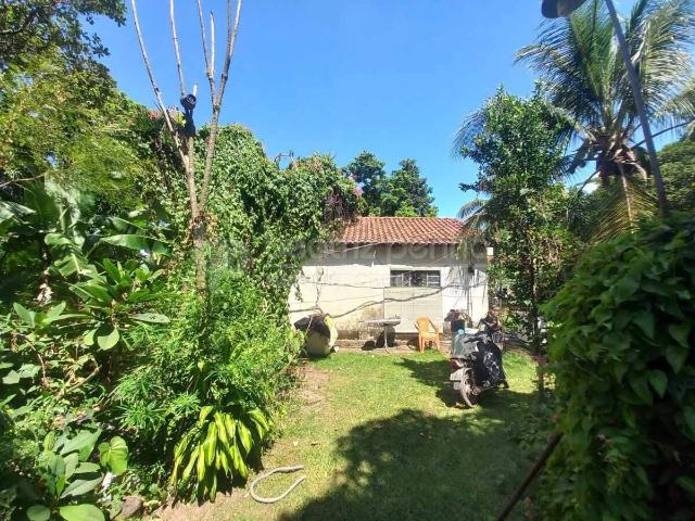 Sítio e chácara venda em Engenheiro Schmidt, São José do Rio Preto