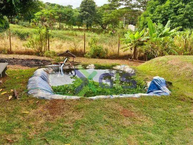 Sítio e chácara venda em Região Imediata de São José do Rio Preto, Região Metropolitana de São José do Rio Preto