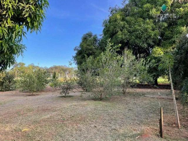 Sítio e chácara venda em Região Imediata de São José do Rio Preto, Região Metropolitana de São José do Rio Preto