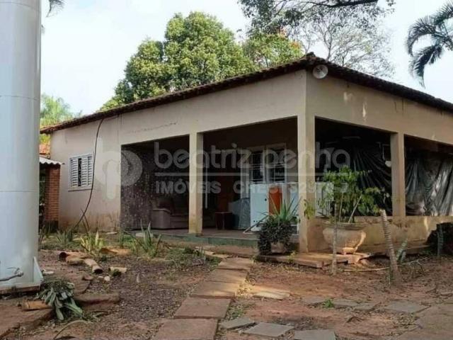Sítio e chácara venda em São José do Rio Preto