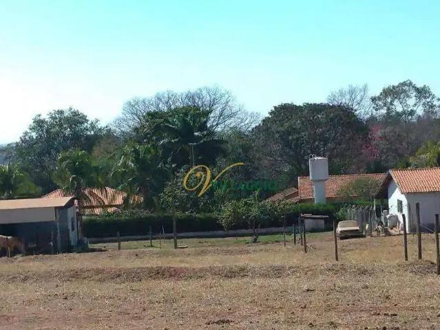 Sítio e chácara venda em Região Imediata de São José do Rio Preto, Região Metropolitana de São José do Rio Preto