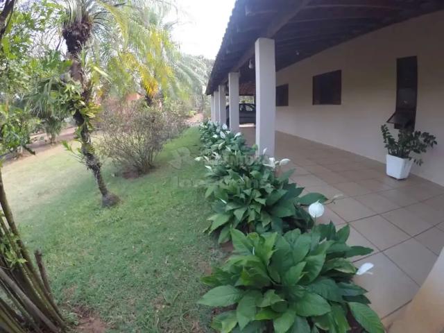 Sítio e chácara venda em Região Imediata de São José do Rio Preto, Região Metropolitana de São José do Rio Preto