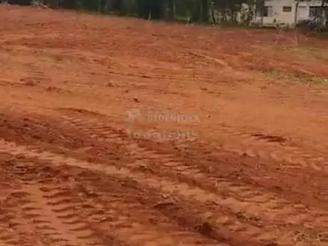 Sítio e chácara venda em Região Imediata de São José do Rio Preto, Região Metropolitana de São José do Rio Preto