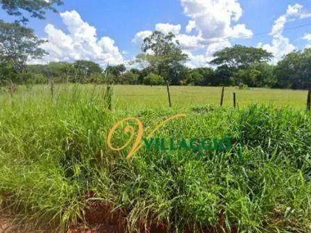 Sítio e chácara venda em Região Imediata de São José do Rio Preto, Região Metropolitana de São José do Rio Preto