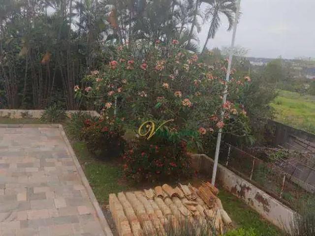 Sítio e chácara venda em Região Imediata de São José do Rio Preto, Região Metropolitana de São José do Rio Preto