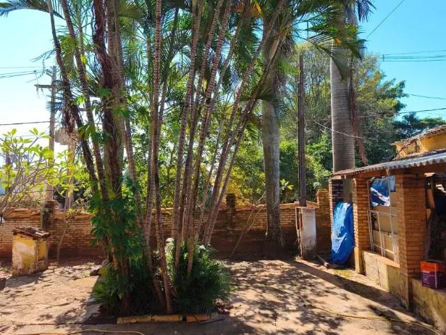 Sítio e chácara venda em Região Imediata de São José do Rio Preto, Região Metropolitana de São José do Rio Preto