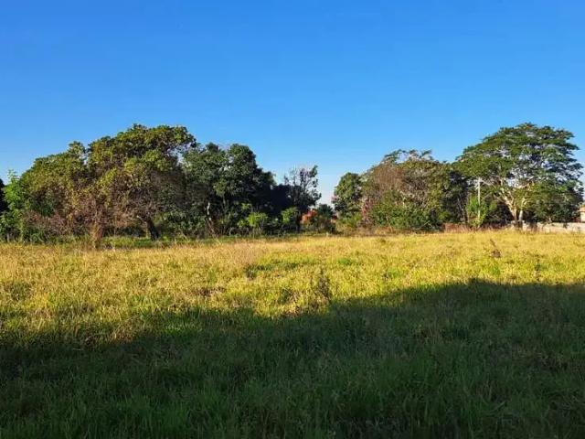 Sítio e chácara venda em Região Imediata de São José do Rio Preto, Região Metropolitana de São José do Rio Preto