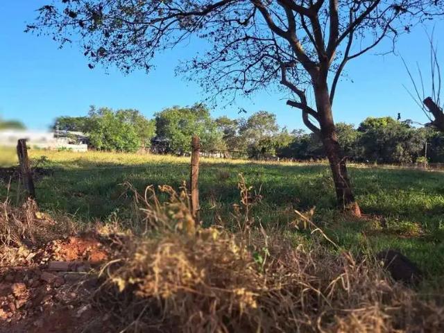 Sítio e chácara venda em Região Imediata de São José do Rio Preto, Região Metropolitana de São José do Rio Preto