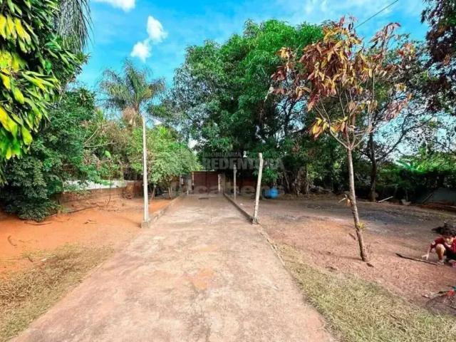 Sítio e chácara venda em Região Imediata de São José do Rio Preto, Região Metropolitana de São José do Rio Preto