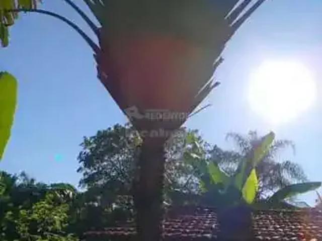 Sítio e chácara venda em Região Imediata de São José do Rio Preto, Região Metropolitana de São José do Rio Preto