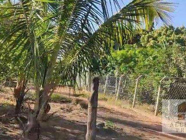 Sítio e chácara venda em São José do Rio Preto