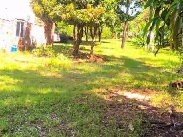 Sítio e chácara venda em Região Imediata de São José do Rio Preto, Região Metropolitana de São José do Rio Preto