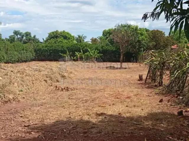 Sítio e chácara venda em Região Imediata de São José do Rio Preto, Região Metropolitana de São José do Rio Preto