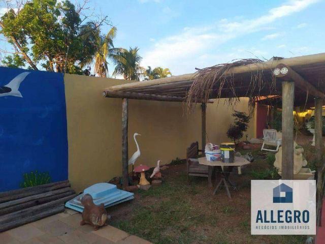 Sítio e chácara venda em São José do Rio Preto