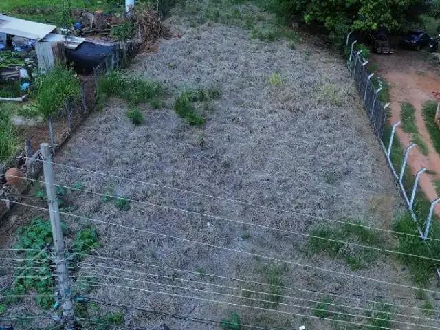 Sítio e chácara venda em Região Imediata de São José do Rio Preto, Região Metropolitana de São José do Rio Preto